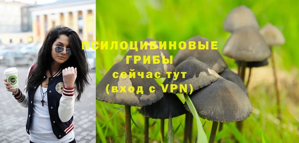 гидра Арсеньев