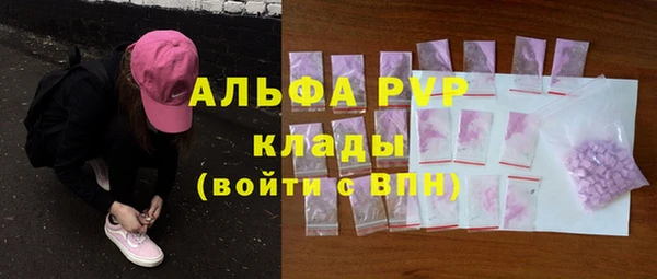 ешки Аркадак