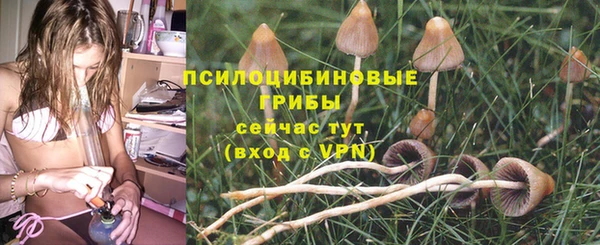 каннабис Армянск
