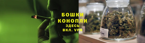 гидра Арсеньев