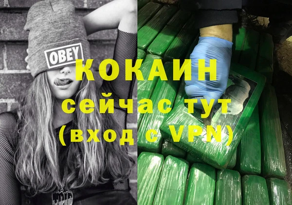ешки Аркадак