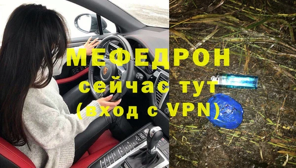 гидра Арсеньев
