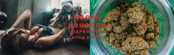 гидра Арсеньев