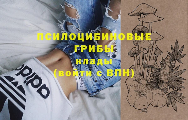 jwh Снежногорск